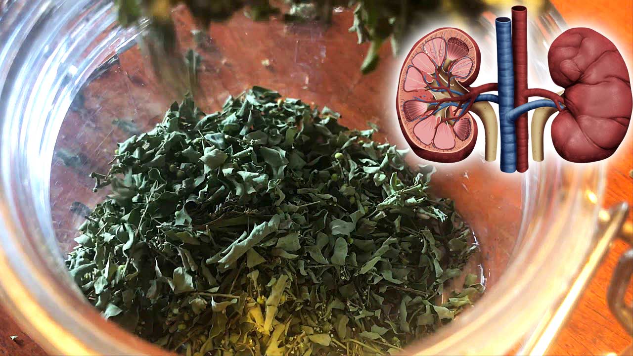 9 ceaiuri care te scapă de pietre la rinichi - Sănătate > Medicina alternativa - sincanoua.ro